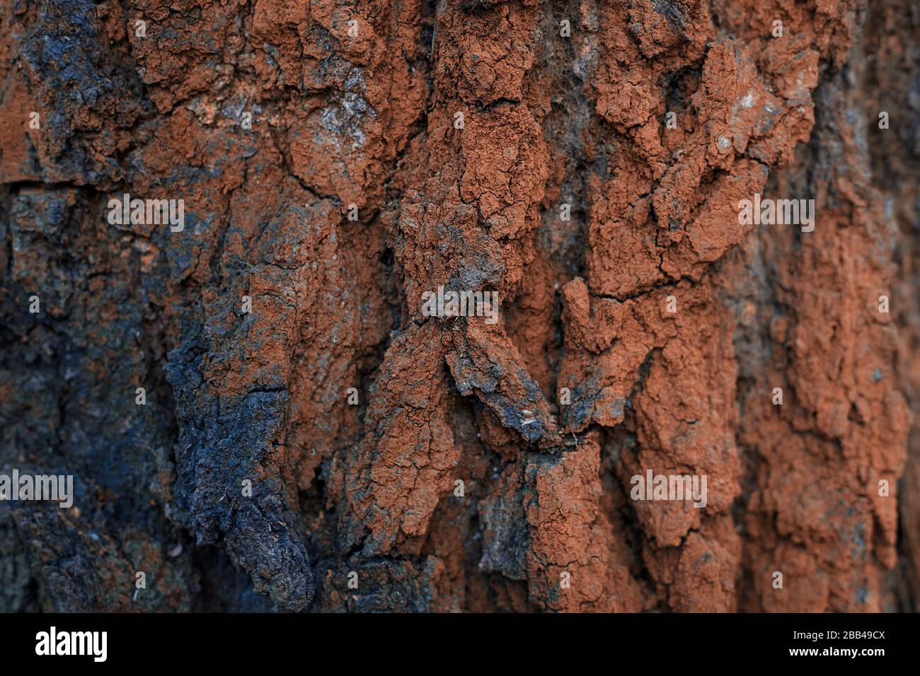 Crumbling stone covered with dry orange clay. Abstract texture. Natural background. Stock Photo