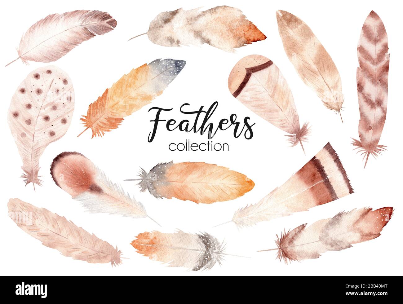 Watercolor hand painted feather set. Boho style illustration isolated ...