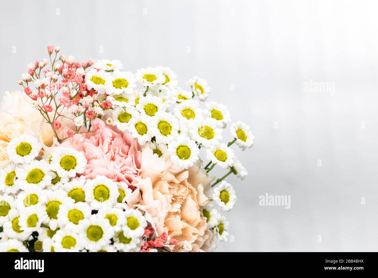 Still life of flowers on white background Stock Photo - Alamy