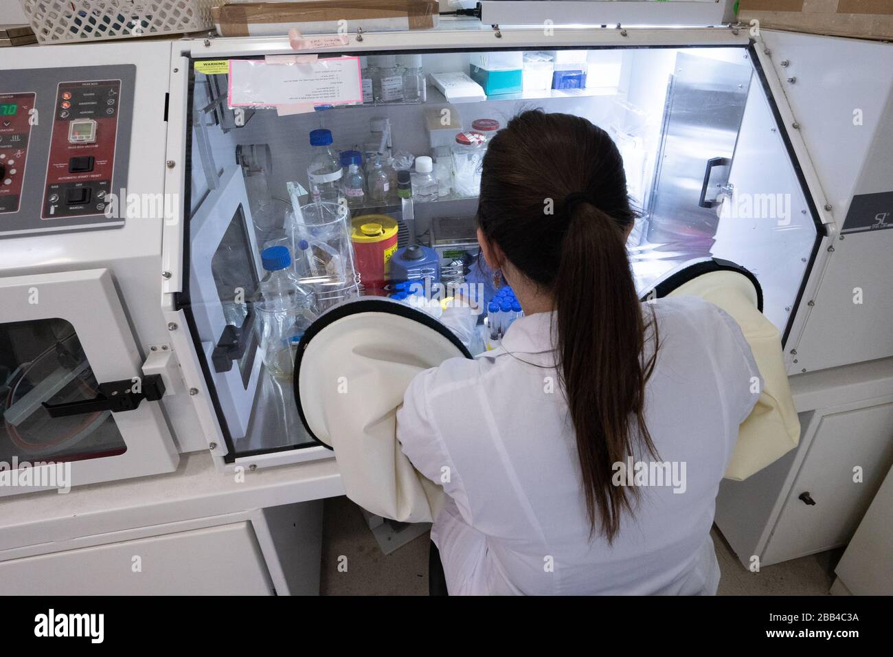 female lab technician works in an airtight air lock at a Virus testing