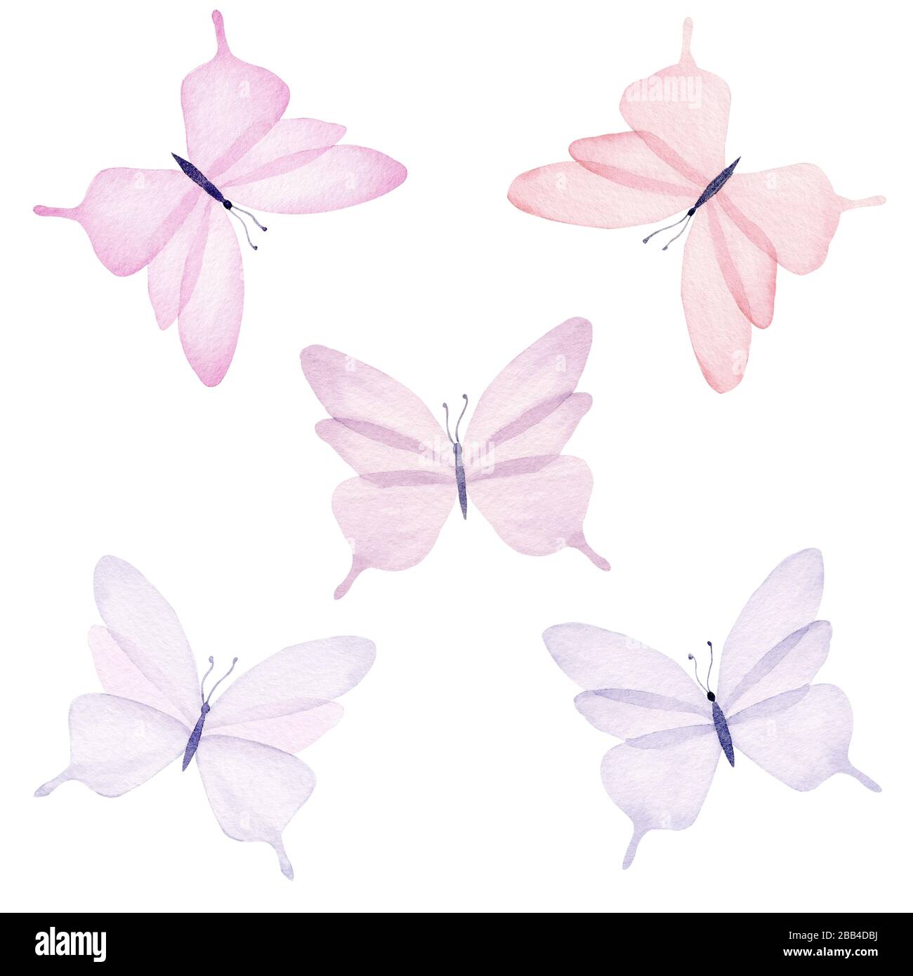 Watercolor pastel color butterflies, isolated on white background. Hand  drawn cute illustration Stock Photo - Alamy