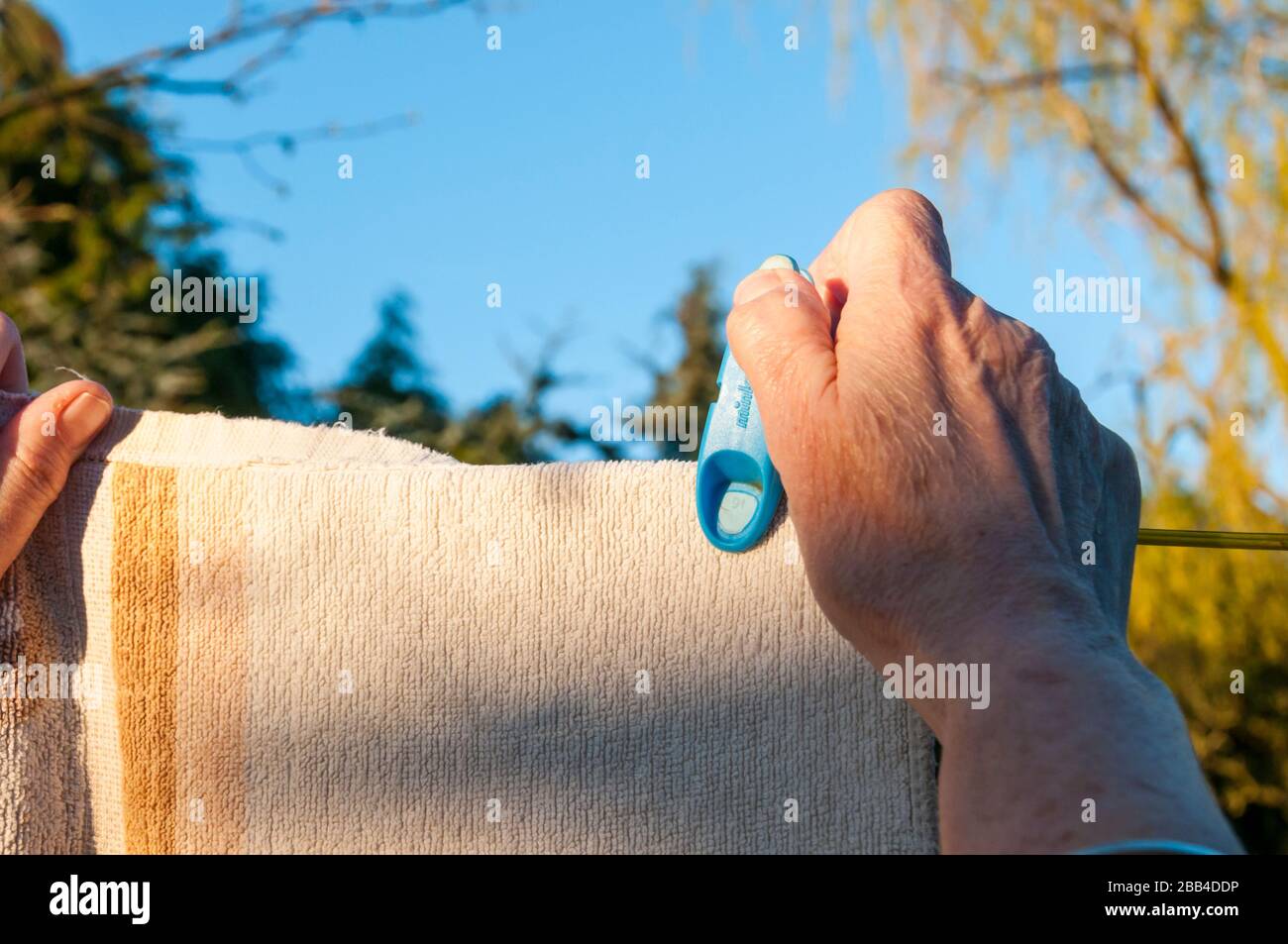 Woman pegging a washed towel onto a clothesline to dry. Stock Photo