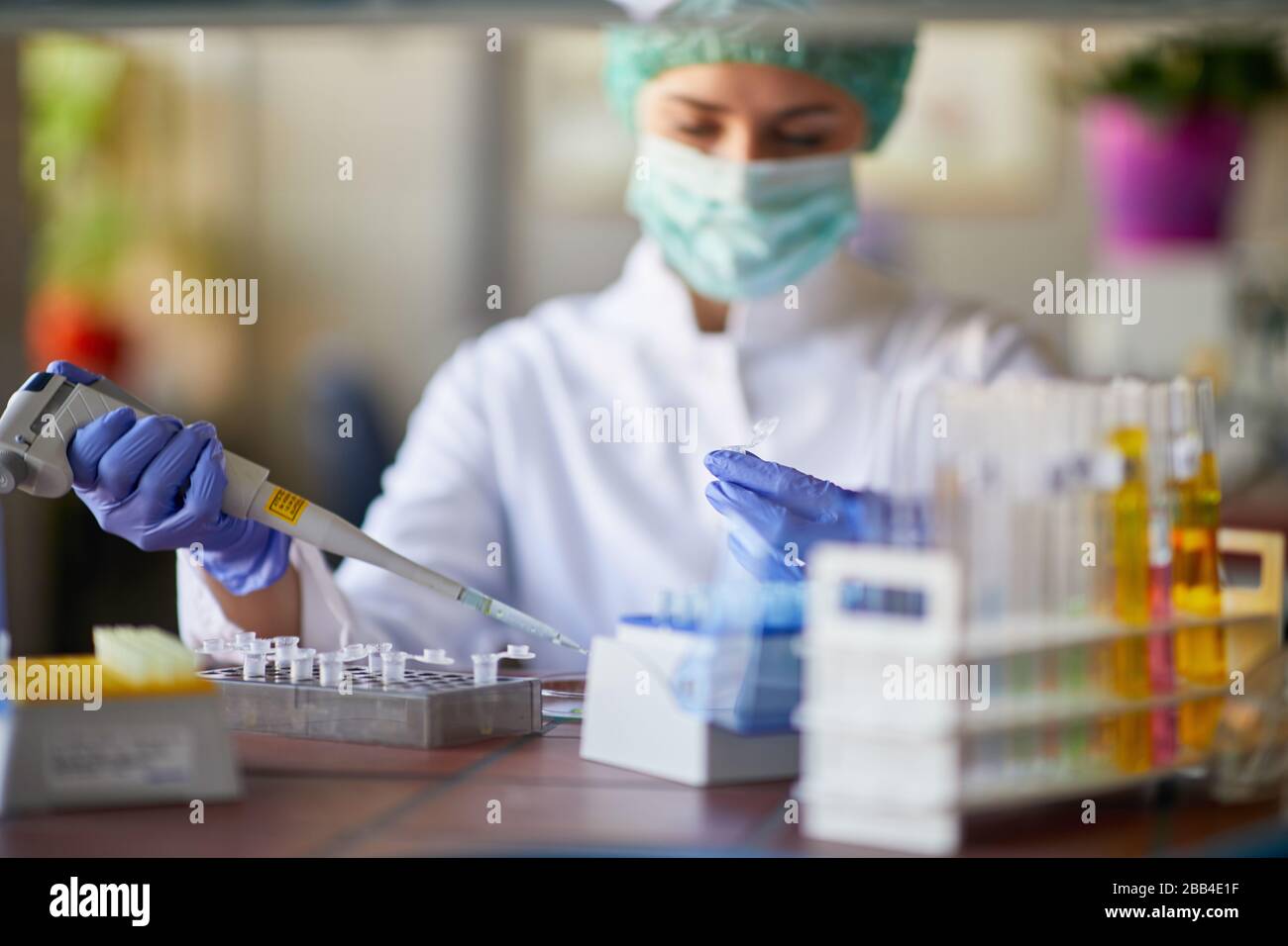 female scientict making research in lab analyzing a new virus. corona virus concept Stock Photo