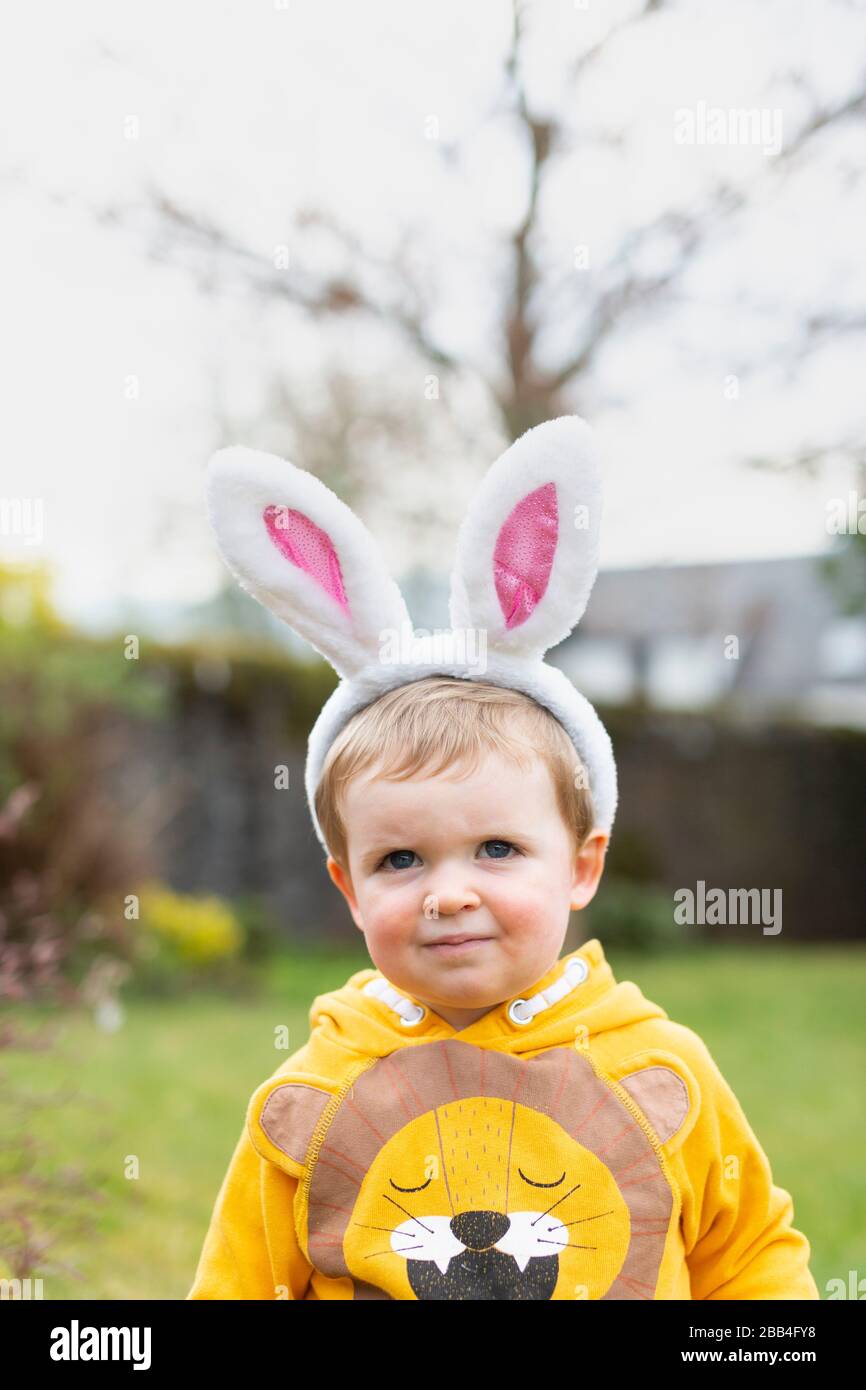 Boy outside in garden wearing bunny ears for Easter egg hunt, Scotland, UK Stock Photo