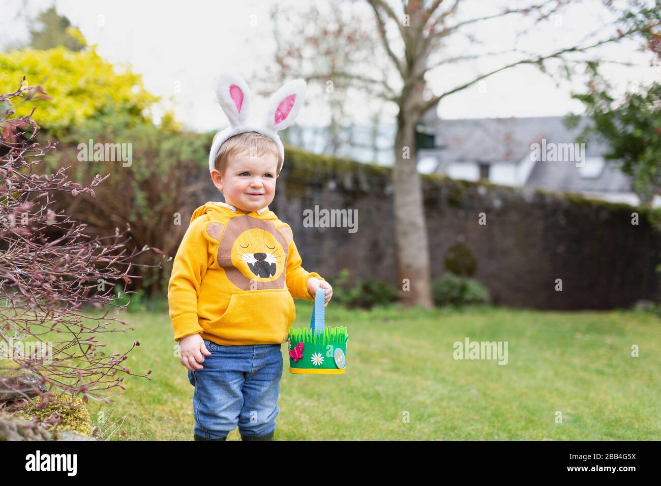 Boy outside in garden wearing bunny ears for Easter egg hunt, Scotland, UK Stock Photo