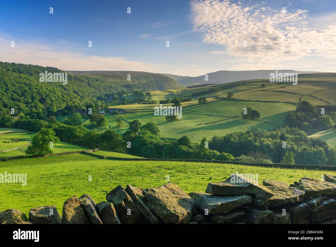 Hayfield High Resolution Stock Photography and Images Alamy