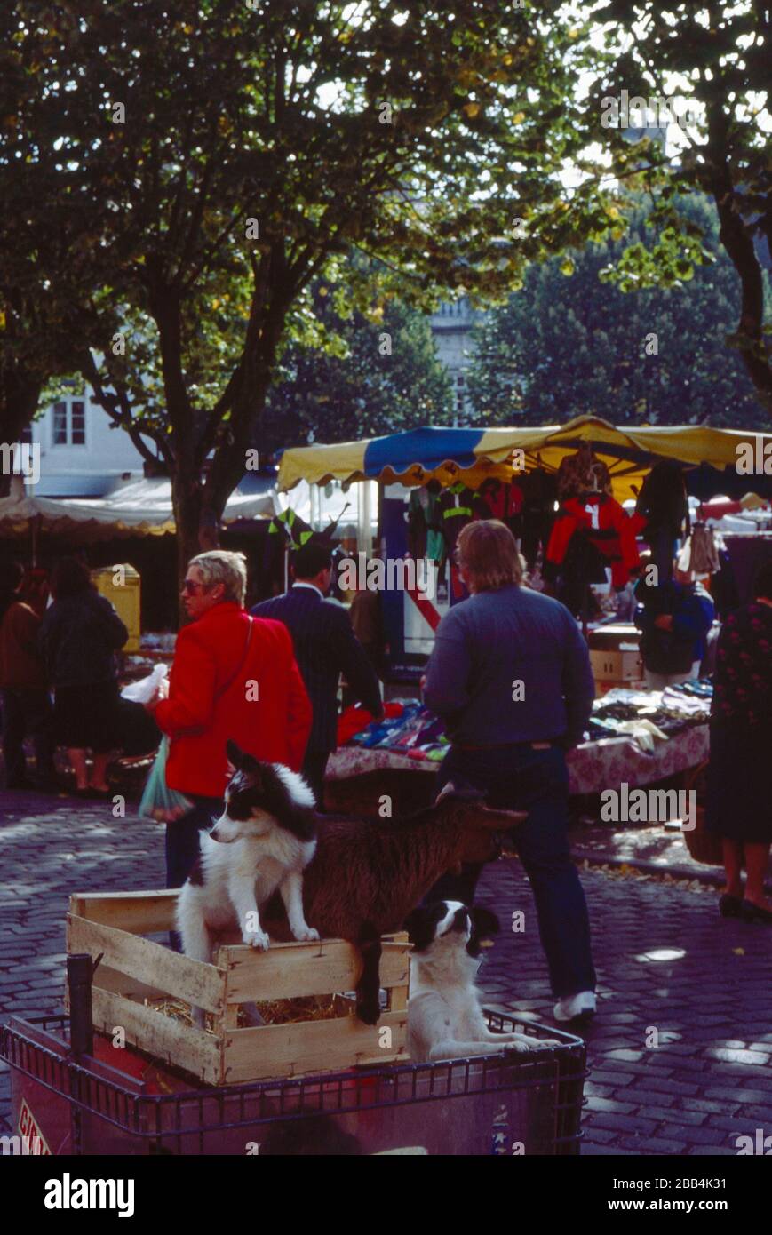 market day in Beaune France in 1989 Stock Photo - Alamy