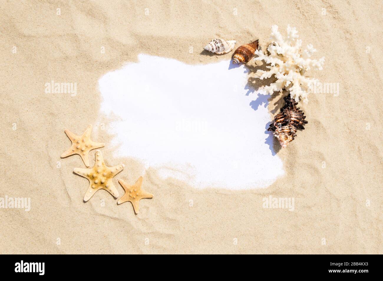 A note paper framed with sea sand, seashells, coral and starfish on golden sandy beach on a sunny day. Summer vacation and relaxation concept. Backgro Stock Photo