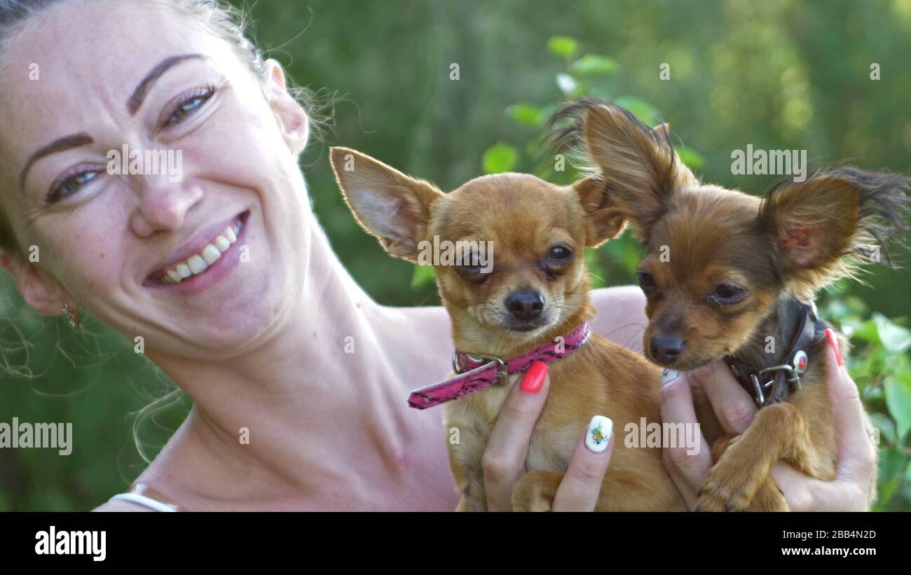 Woman holds two dogs in her hands Stock Photo Alamy