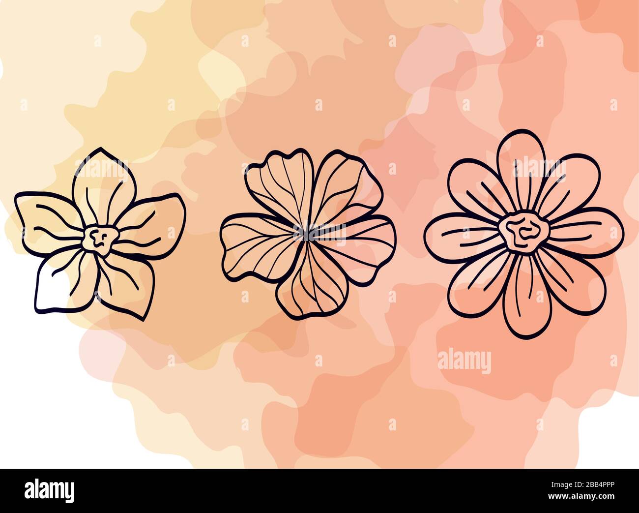 set of cute flowers naturals Stock Vector Image & Art - Alamy