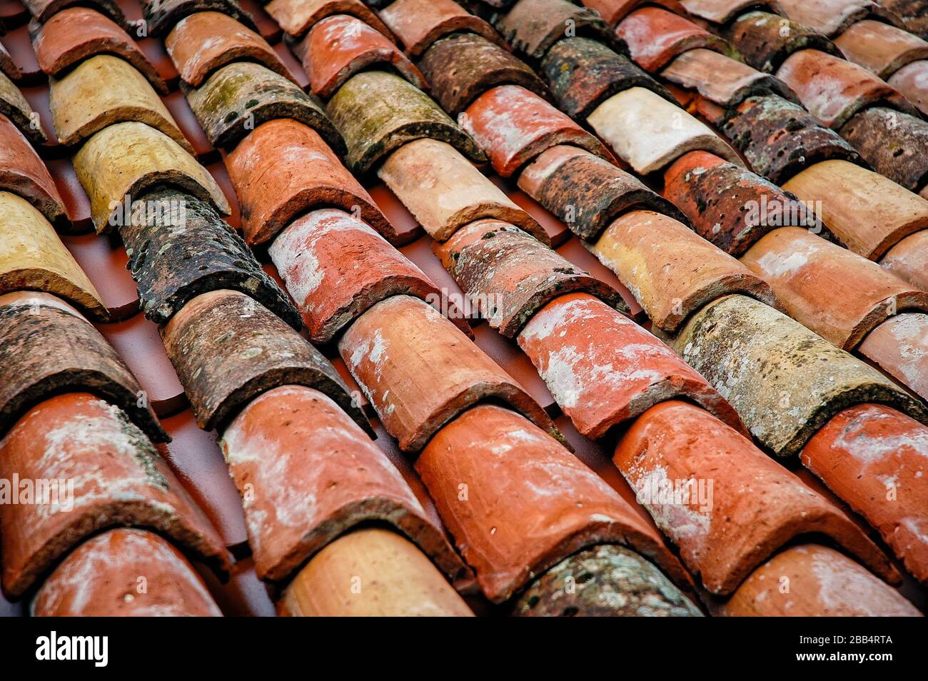 Closeup shot of several shingles on the rooftop Stock Photo