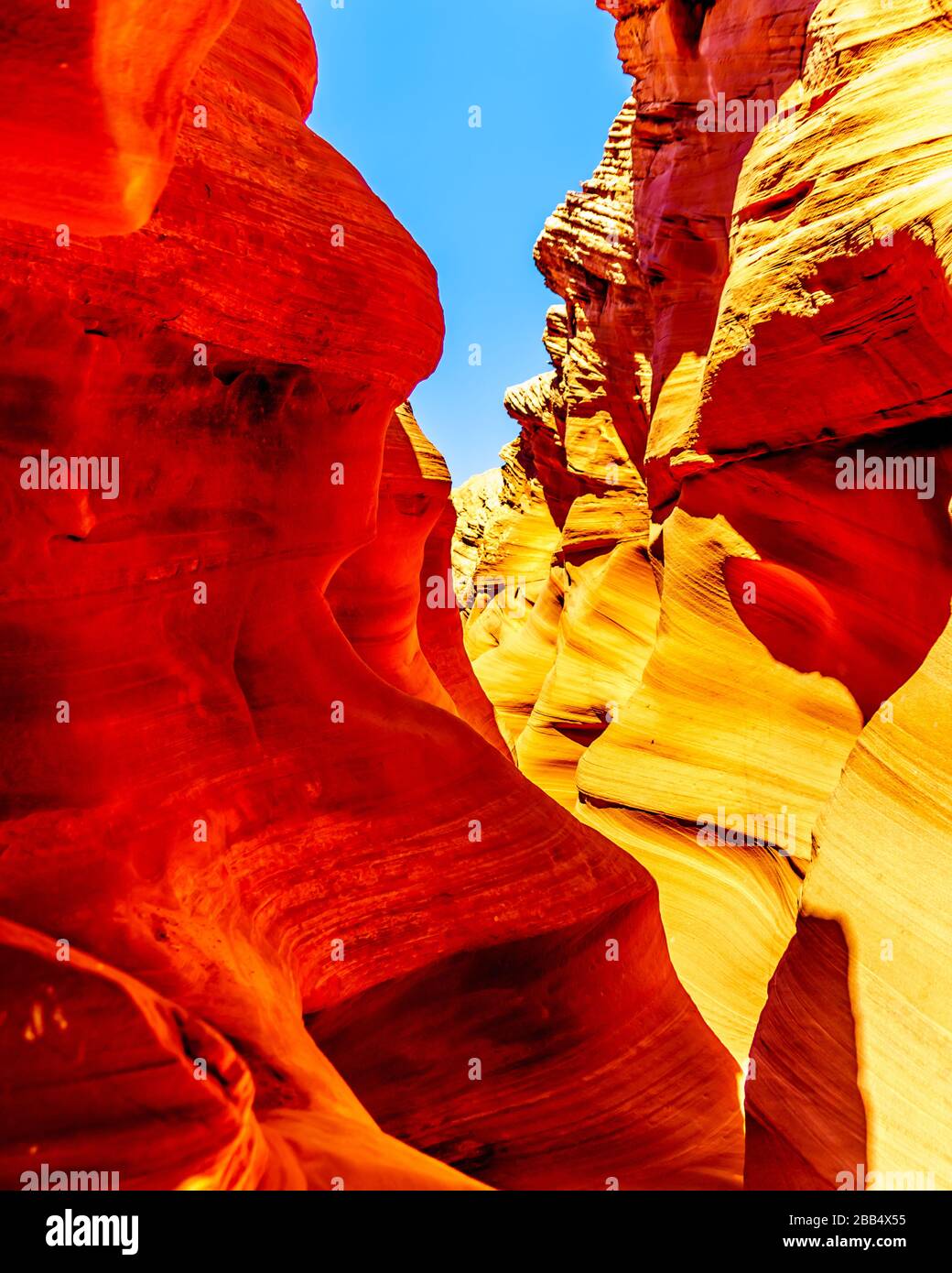 The smooth curved Red Navajo Sandstone walls of Rattlesnake Canyon, one of the famous Slot Canyons in the Navajo lands near Page Arizona, USA Stock Photo