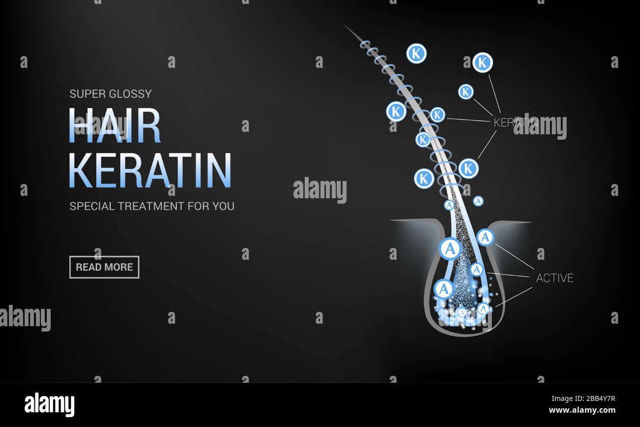 Skin scalp hair follicles hires stock photography and images Alamy