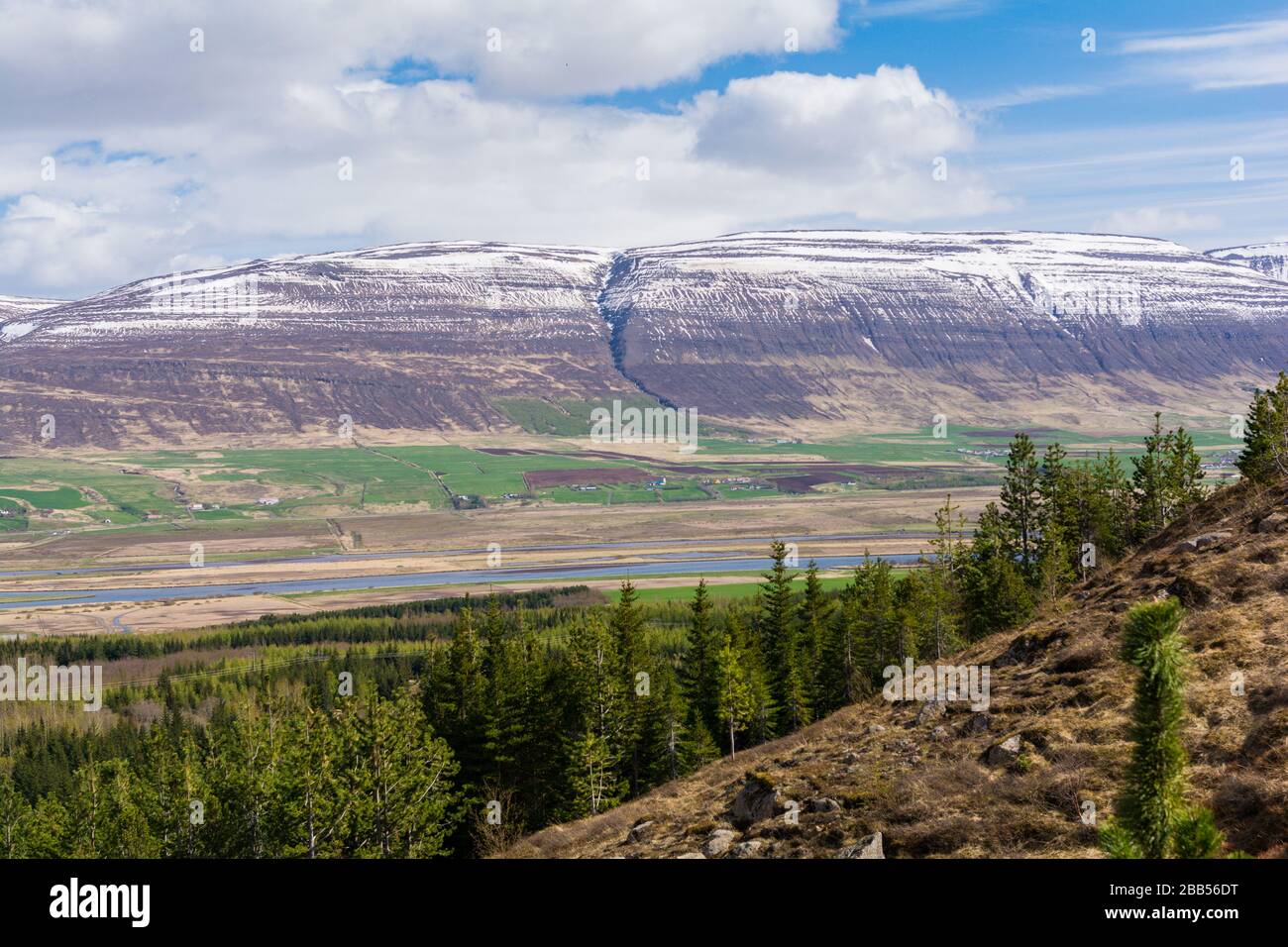 The forest Kjarnaskogur (Kjarnaskogur) in Akureyri Iceland. Full of ...