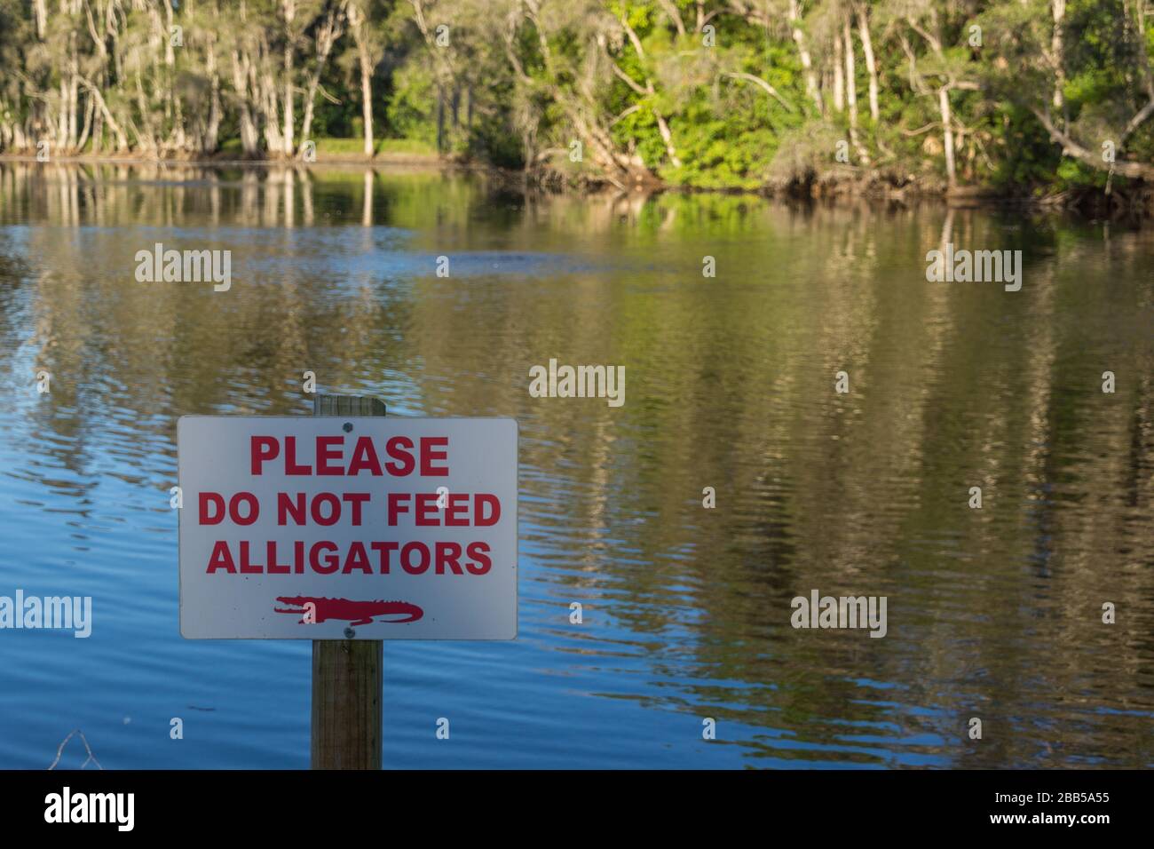 Warning sign - please do not feed alligators Stock Photo - Alamy