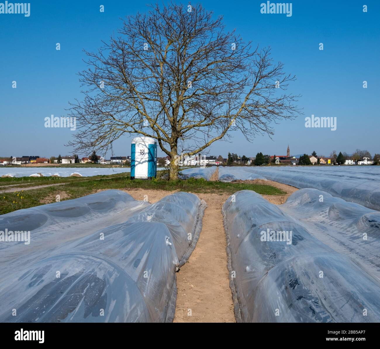 Badeb baden hi-res stock photography and images - Alamy
