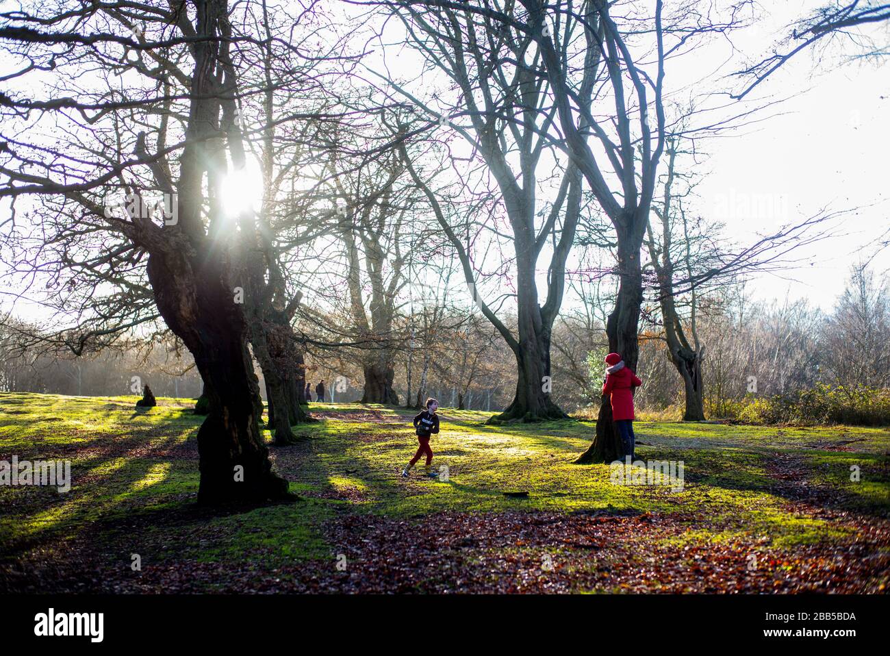 25/12/2019.  ©Licensed to Parsons Media Ltd. London, United Kingdom.Yasmin 9 and Isaac 7 playing in Epping Forest on Christmas Day morning 2019 Picture by Andrew Parsons / Parsons Media Stock Photo