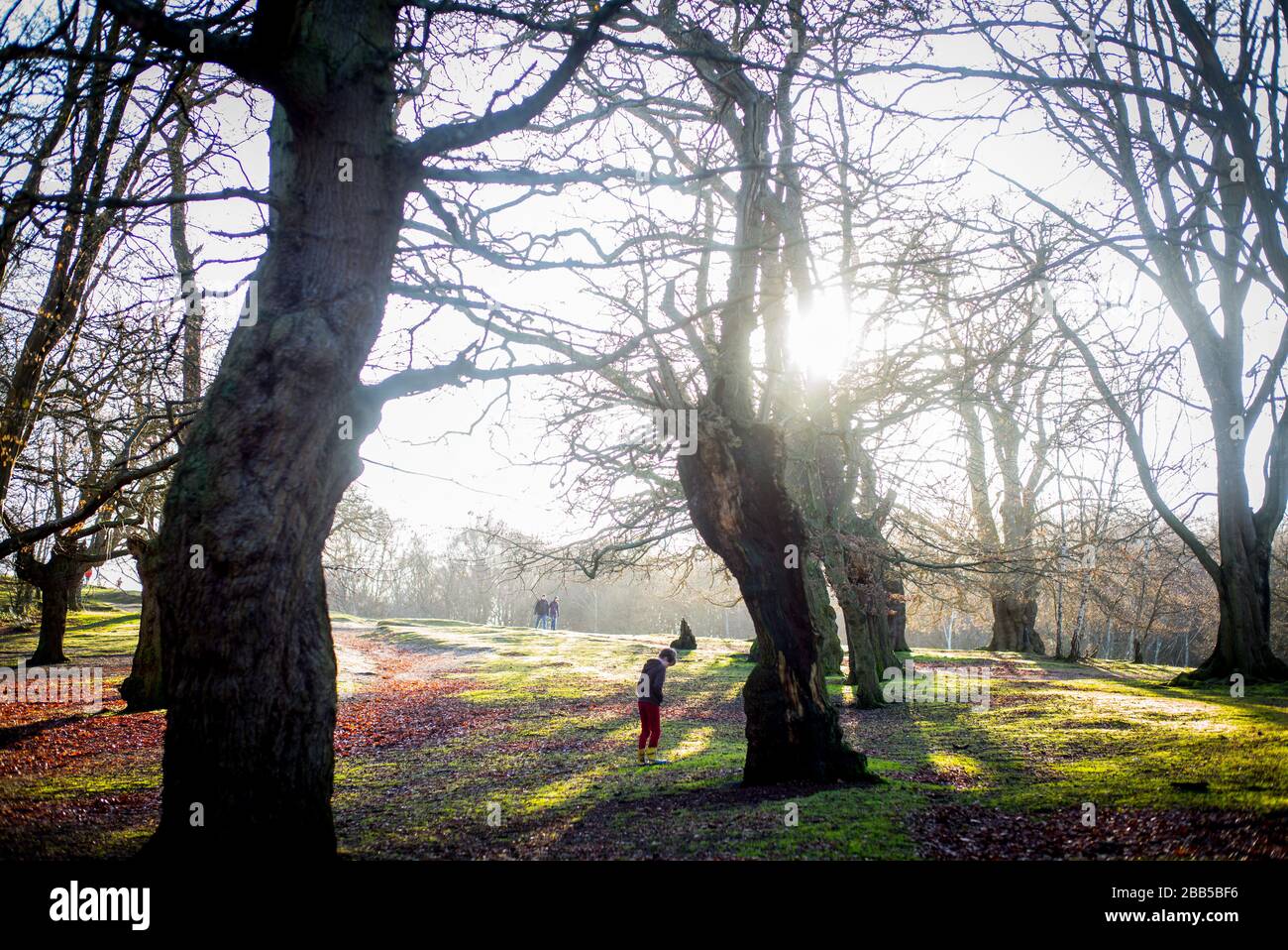 25/12/2019.  ©Licensed to Parsons Media Ltd. London, United Kingdom.Yasmin 9 and Isaac 7 playing in Epping Forest on Christmas Day morning 2019 Picture by Andrew Parsons / Parsons Media Stock Photo