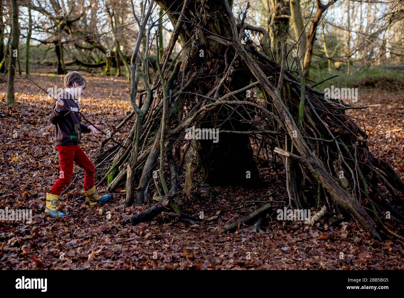 25/12/2019.  ©Licensed to Parsons Media Ltd. London, United Kingdom.Isaac 7 playing in a den in Epping Forest on Christmas Day morning 2019 Picture by Andrew Parsons / Parsons Media Stock Photo