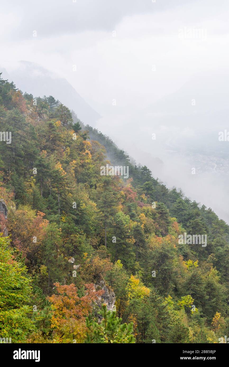 sunny autumn afternoon mountain scenery. trees in fall foliage on the ...