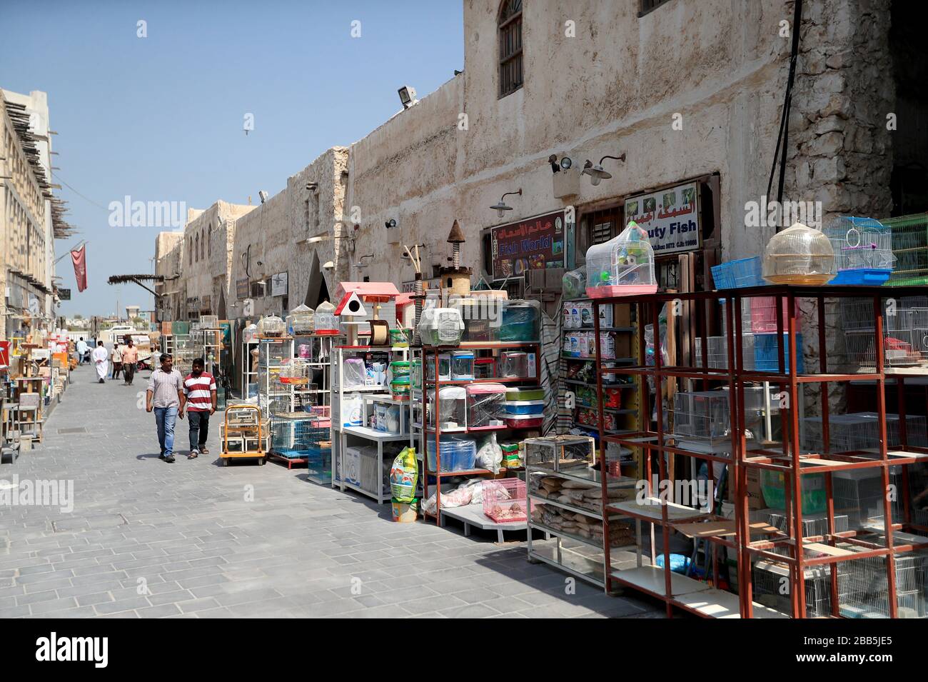 A pet shops in Doha, Qatar Stock Photo Alamy