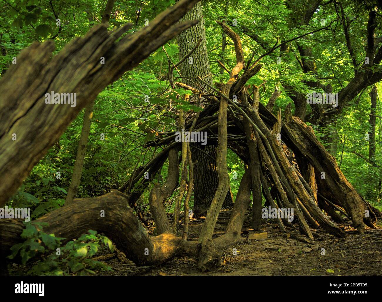 Hut made of branches in the woods. Stock Photo