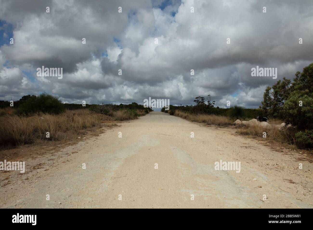 Australian bush land seen near Perth, western Australia Stock Photo Alamy