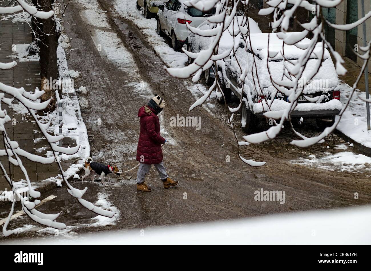 Pandemic COVID-19 corona virus, emergency, heavy snowfall and walking with a dog, Sofia, Bulgaria Stock Photo