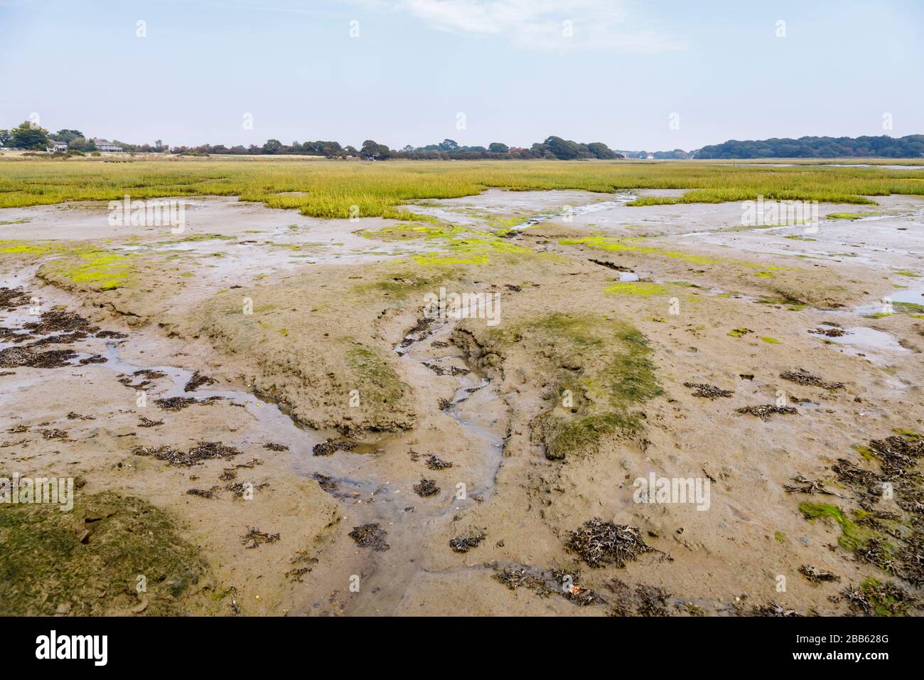 Smugglers Lane and Ferry Hard inter-tidal saltmarsh areas at low tide, Bosham, a small village in Chichester Harbour, West Sussex, south coast England Stock Photo