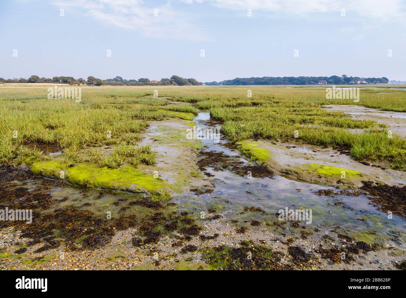 Smugglers Lane and Ferry Hard inter-tidal saltmarsh areas at low tide, Bosham, a small village in Chichester Harbour, West Sussex, south coast England Stock Photo