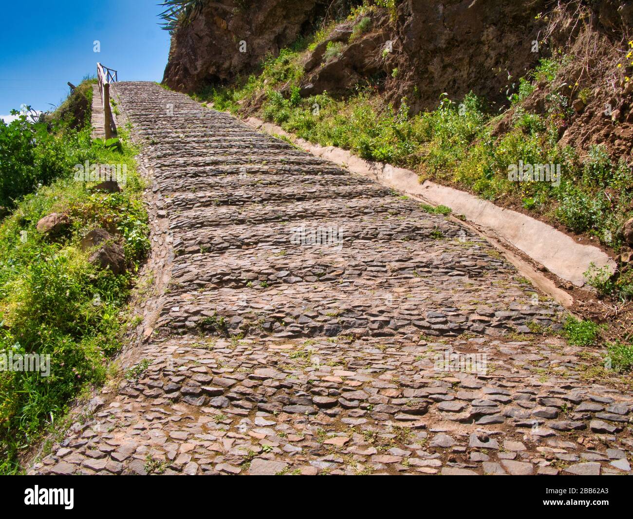 Rustic Stairs with Steep Steps on Walking Trail To Wairoa Stream Stock  Photo - Image of north, steep: 130157154