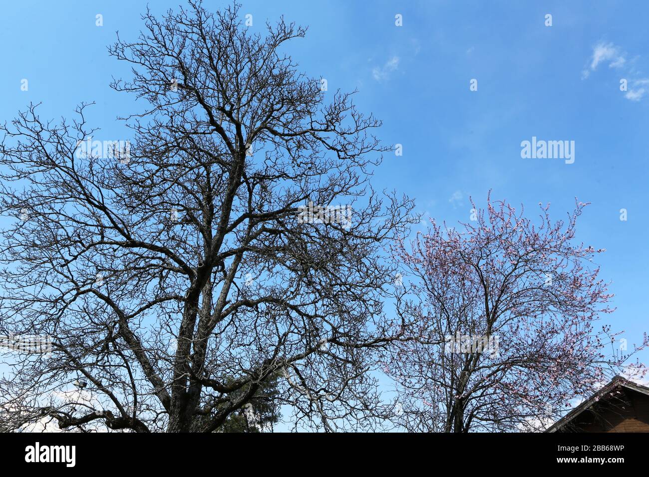 Sans Fond High Resolution Stock Photography And Images Alamy Sans Fond High Resolution Stock Photography And Images Alamy