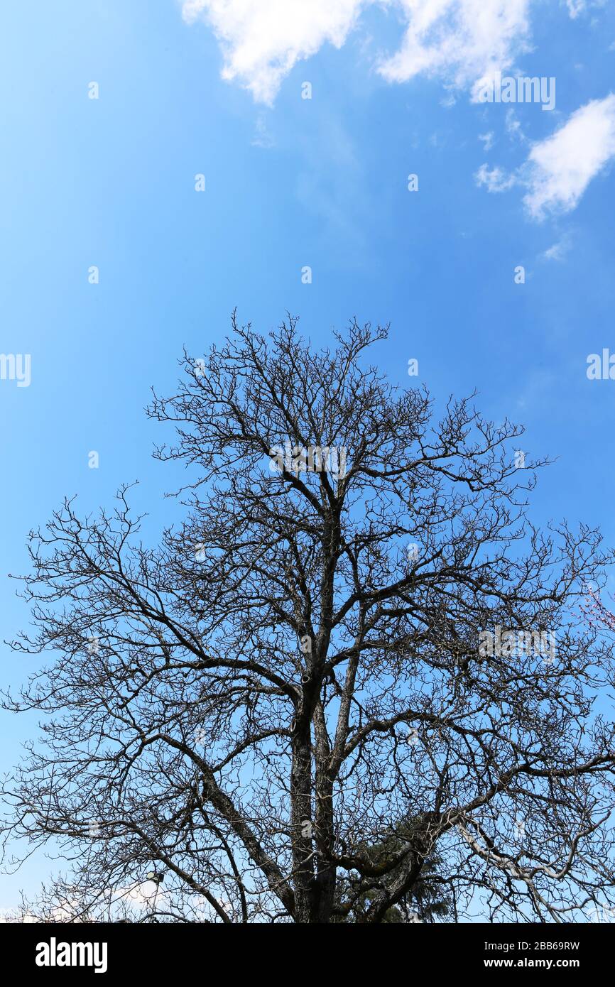 Sans Fond High Resolution Stock Photography And Images Alamy Sans Fond High Resolution Stock Photography And Images Alamy