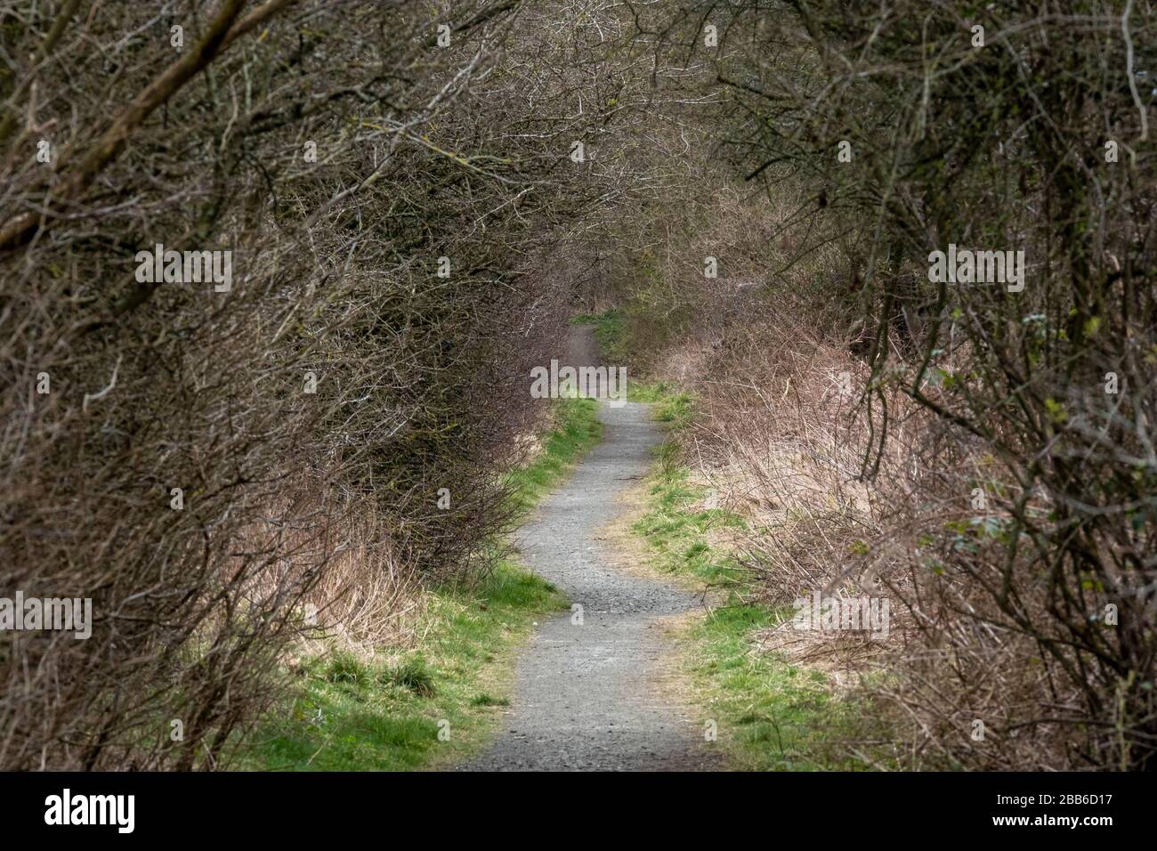 Country path along a disused rail line near East Calder, West Lothian, Scotland. Stock Photo