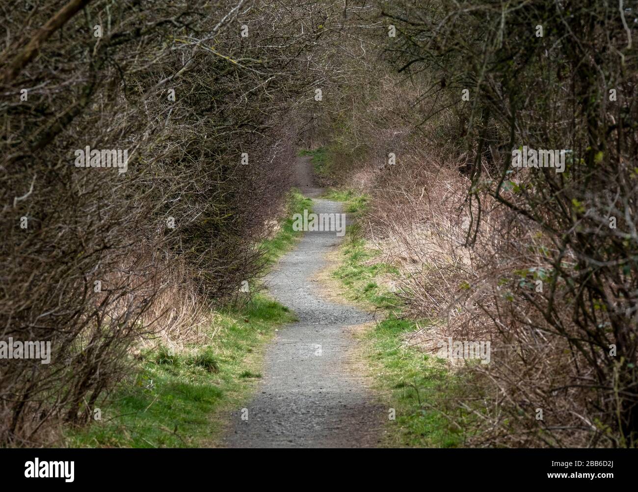 Country path along a disused rail line near East Calder, West Lothian, Scotland. Stock Photo