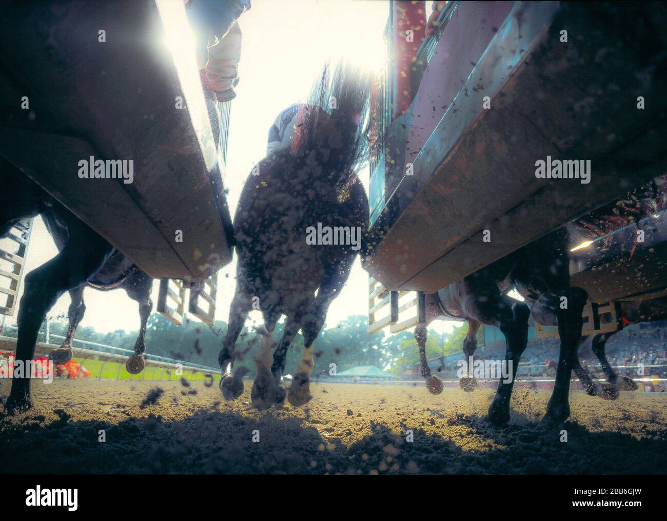 Starting Gate High Resolution Stock Photography And Images Alamy Starting Gate High Resolution Stock Photography And Images Alamy