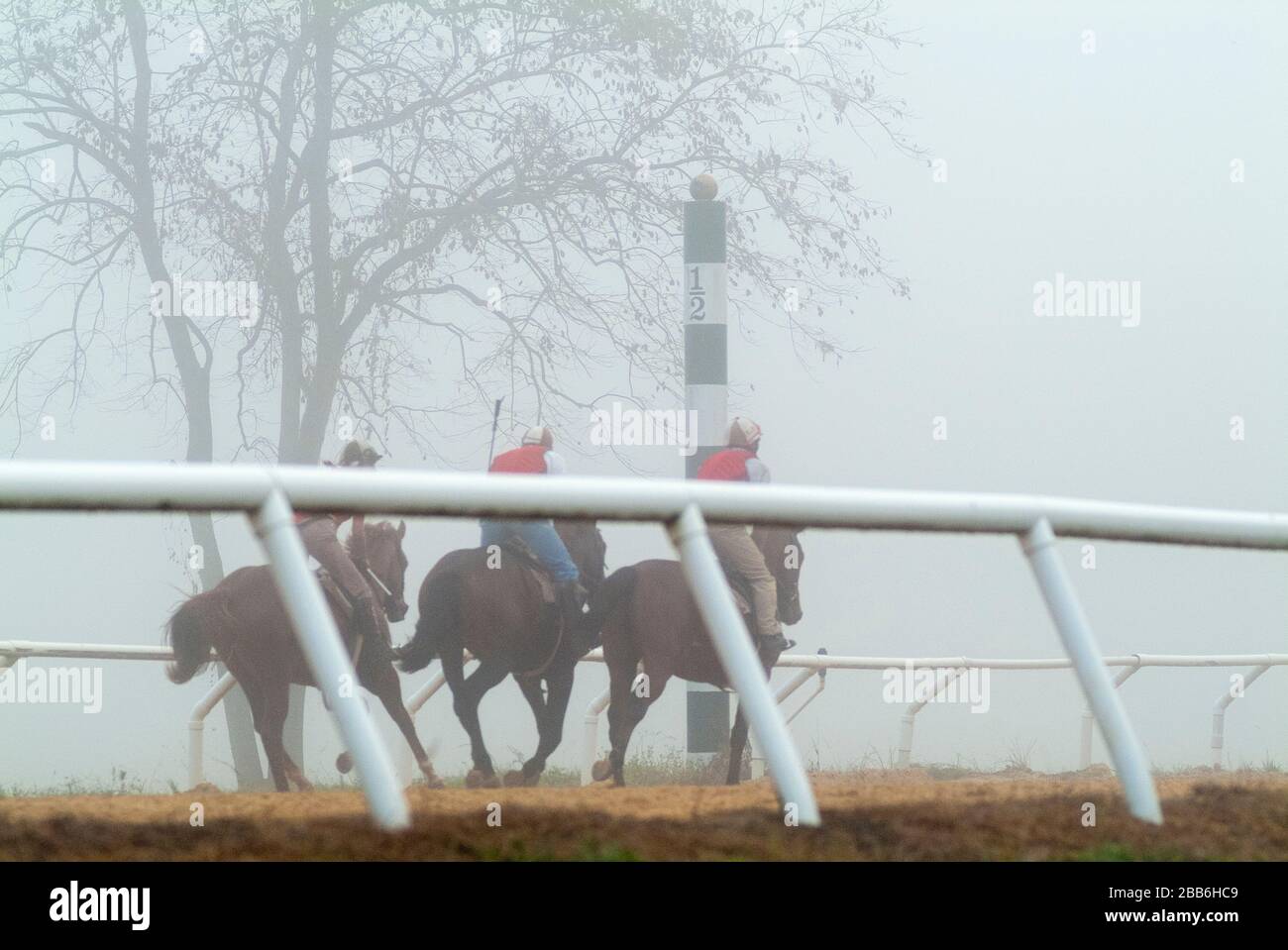 Thoroughbreds and exercise riders work out in early morning fog Stock Photo