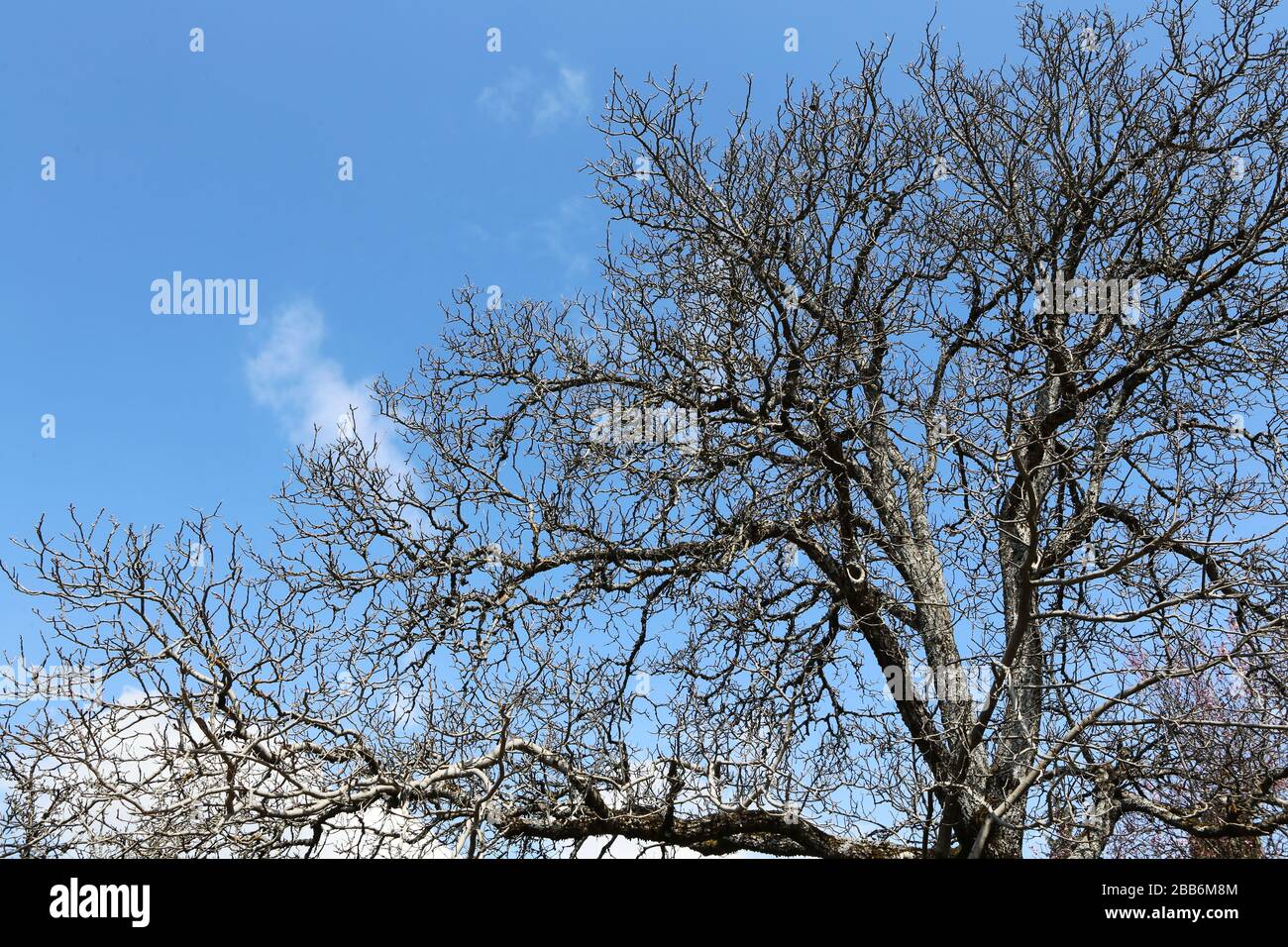 Sans Fond High Resolution Stock Photography And Images Alamy Sans Fond High Resolution Stock Photography And Images Alamy