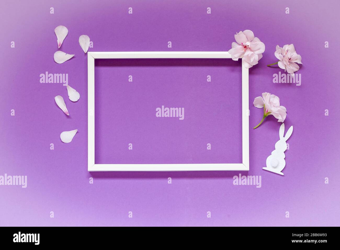 Flowers composition with blank frame for text on pink background ...