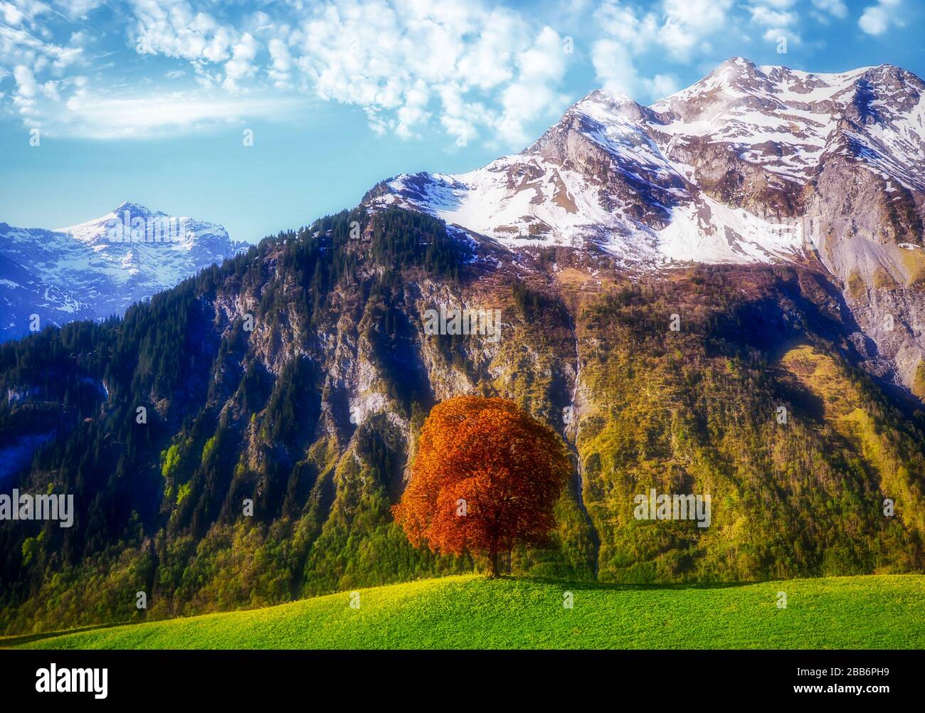 Majestic swiss landscape hi-res stock photography and images - Alamy