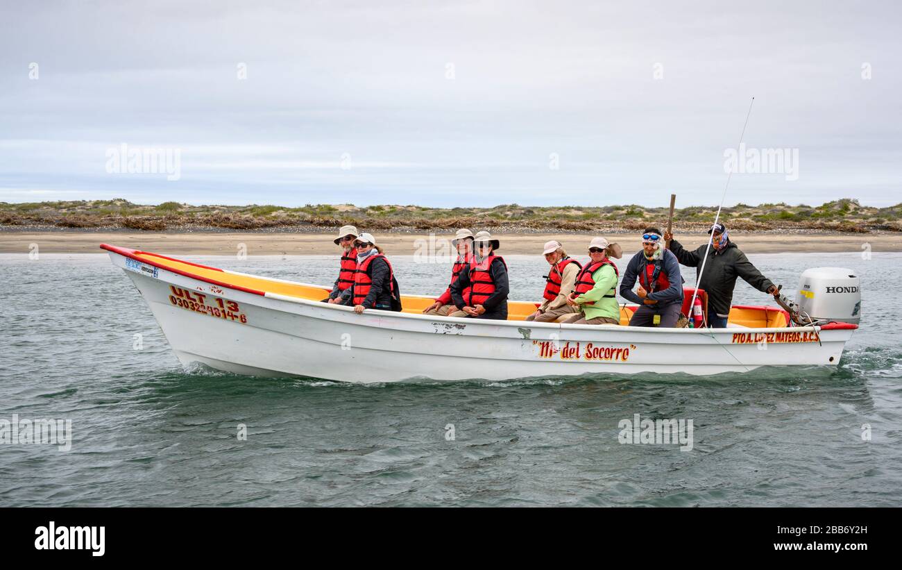 Sea Kayak Adventures Whale Watching Tour in Bahia Magdalena, Baja California Sur, Mexico. Stock Photo