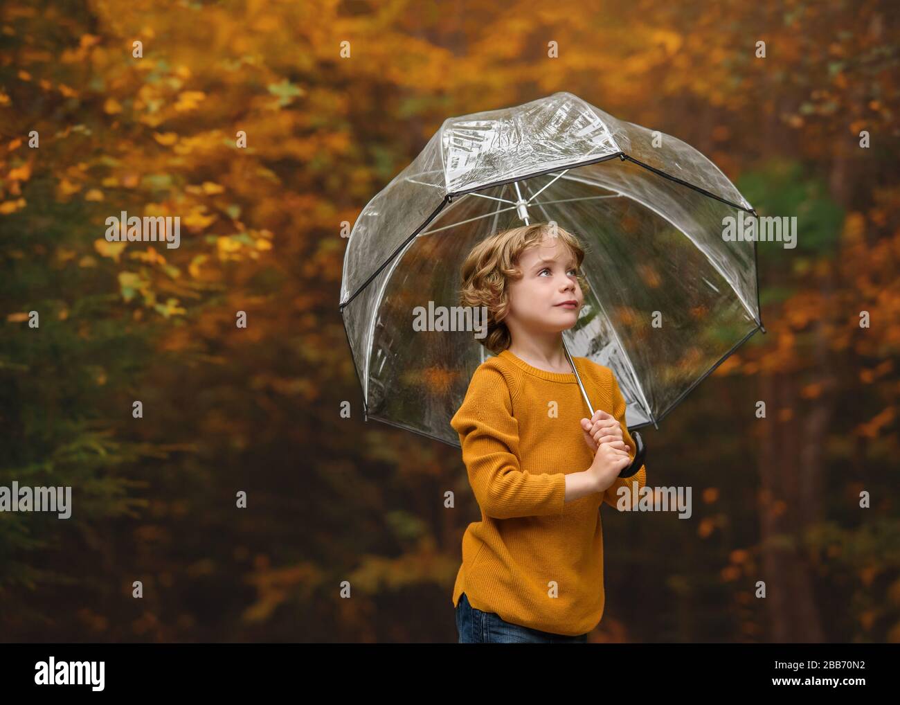 Portrait of a boy standing in the forest holding an umbrella, Bedford, Halifax, Nova Scotia, Canada Stock Photo