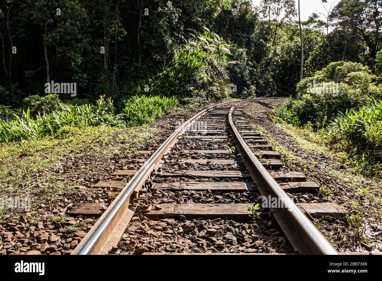Railway at Rio Natal district. Sao Bento do Sul, Santa Catarina, Brazil  Stock Photo - Alamy