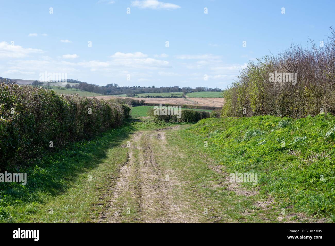 Green Lane and Footpath Hampshire England Stock Photo