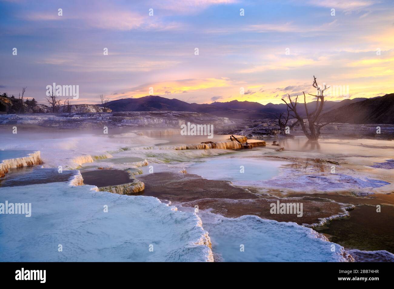 Grassy Spring travertine formations at sunrise, Upper Mammoth Terraces, Yellowstone National Park, Wyoming, USA. Stock Photo