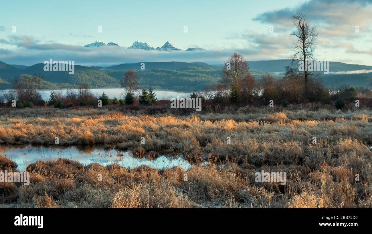 Golden ears mountain in Pitt Meadows, British Columbia, Canada. Stock Photo