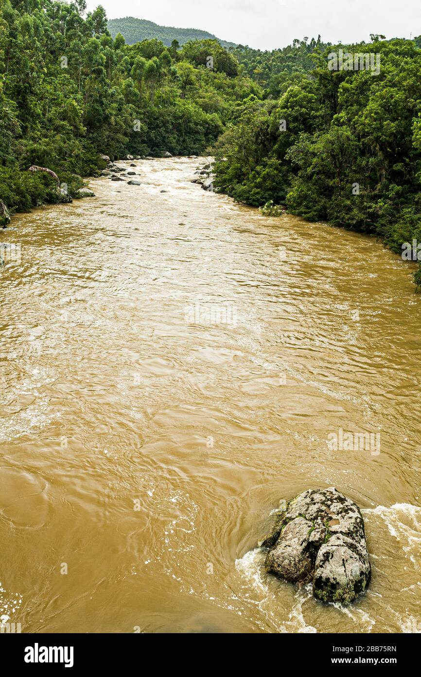Santa Rosa de Lima Santa Catarina fonte: c8.alamy.com