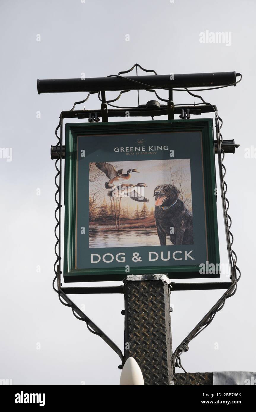 Duck Inn High Resolution Stock Photography And Images Alamy Duck Inn High Resolution Stock Photography And Images Alamy
