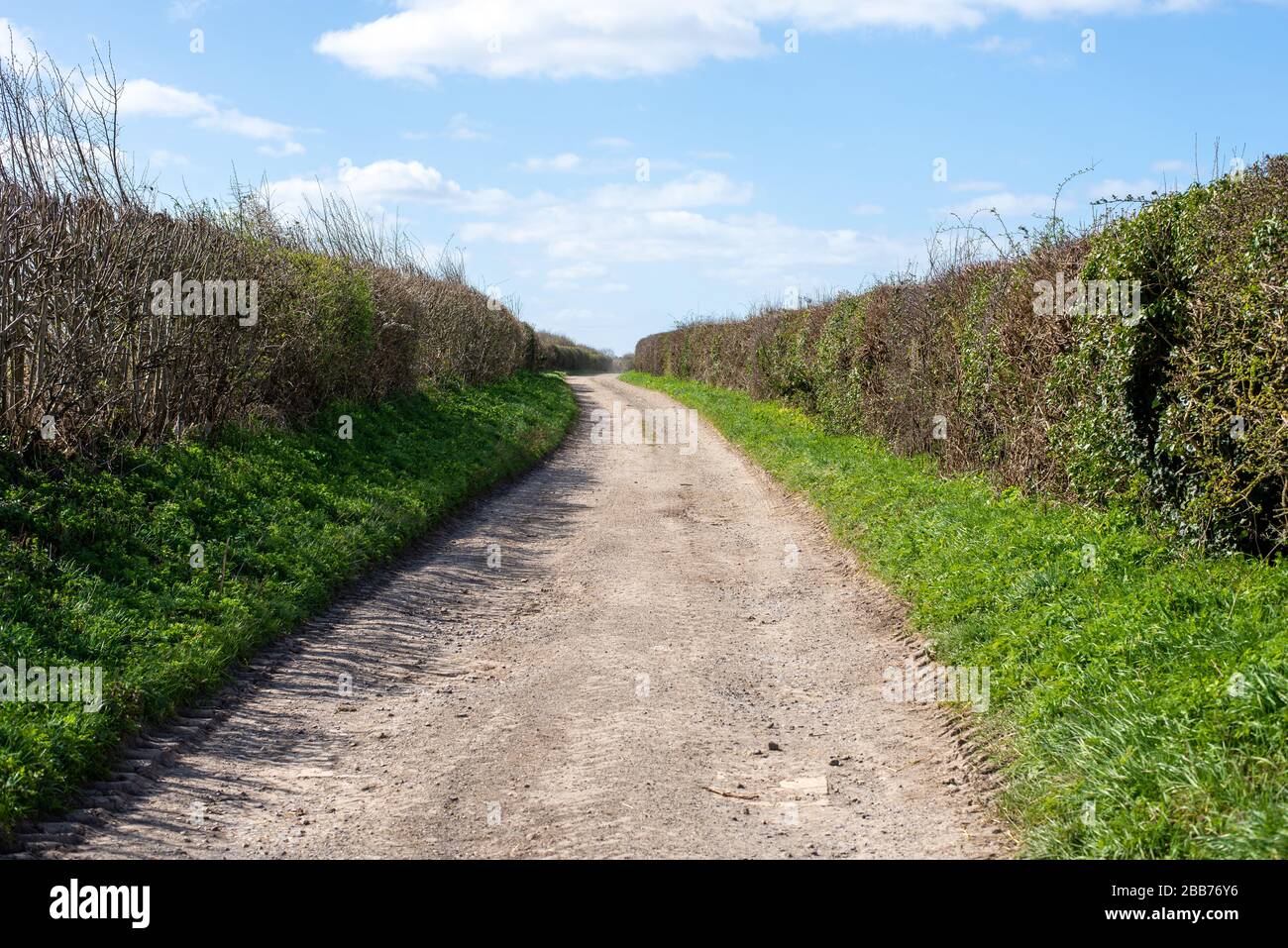 Green Lane and Footpath Hampshire England Stock Photo