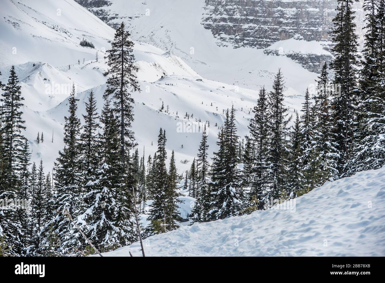 Lake Louise in Banff Park in winter time, Alberta, Canada Stock Photo ...